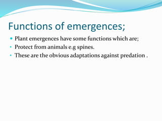 Functions of emergences;
 Plant emergences have some functions which are;
• Protect from animals e.g spines.
• These are the obvious adaptations against predation .
 
