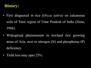 History:
• First diagnosed in rice (Oryza sativa) on calcareous
soils of Tarai region of Uttar Pradesh of India (Nene,
1966).
• Widespread phenomenon in lowland rice growing
areas of Asia, next to nitrogen (N) and phosphorus (P)
deficiency.
• Yield loss may upto 25%.
 