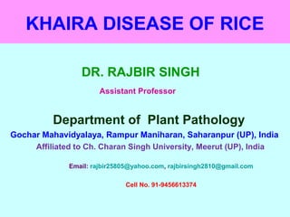 KHAIRA DISEASE OF RICE
DR. RAJBIR SINGH
Assistant Professor
Department of Plant Pathology
Gochar Mahavidyalaya, Rampur Maniharan, Saharanpur (UP), India
Affiliated to Ch. Charan Singh University, Meerut (UP), India
Email: rajbir25805@yahoo.com, rajbirsingh2810@gmail.com
Cell No. 91-9456613374
 