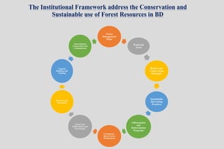 Institutional Framework of Forest Management in Bd | PPTX