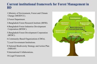 Institutional Framework of Forest Management in Bd | PPTX