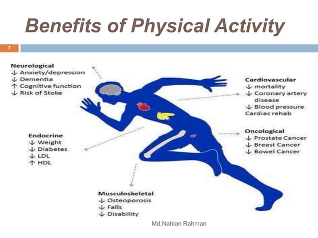 Benefits Of Physical Activity | PPTX | Fitness and Exercise | Healthy ...