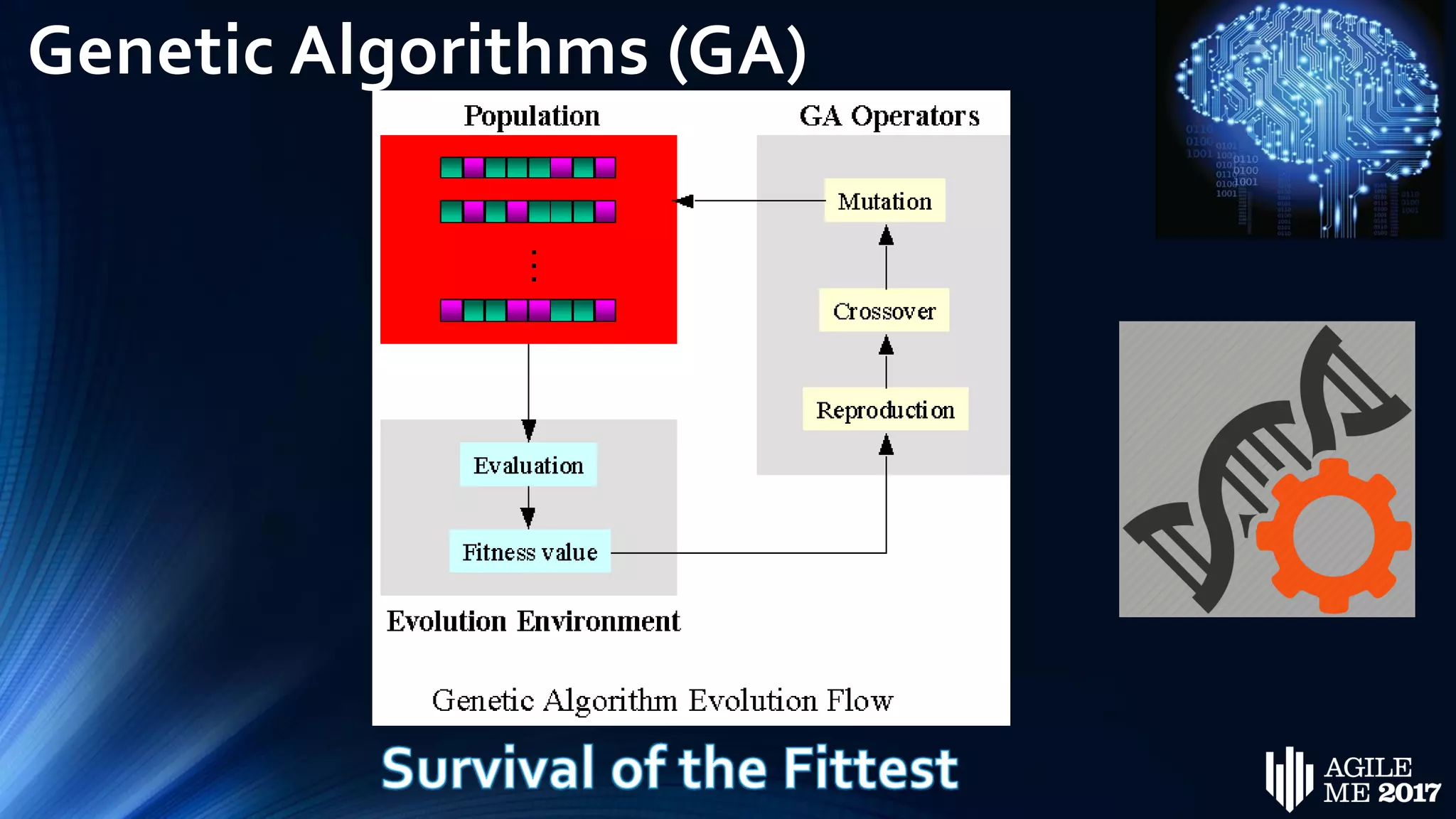 Genetic Algorithms (GA)
 