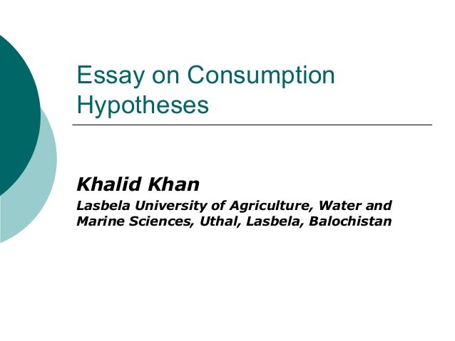 Essay on consumerism
