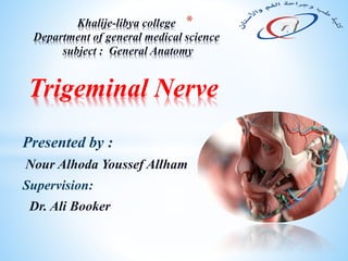 Presented by :
Nour Alhoda Youssef Allham
Supervision:
Dr. Ali Booker
*Khalije-libya college
Department of general medical science
subject : General Anatomy
Trigeminal Nerve
 