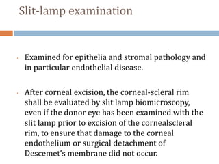 Essay eye donation keratoplasty 07 picture