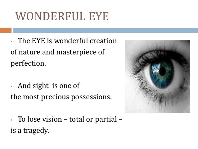 essay eye donation keratoplasty Essay 9 merger lomba essay apa itu essay eye donation keratoplasty harvard paper on organ donation values. essay eye donation keratoplasty Essay 9 merger lomba essay apa itu essay eye donation keratoplasty harvard paper on organ donation values.