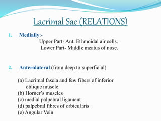 Lacrimal Sac (RELATIONS)
1. Medially:-
Upper Part- Ant. Ethmoidal air cells.
Lower Part- Middle meatus of nose.
2. Anterolateral (from deep to superficial)
(a) Lacrimal fascia and few fibers of inferior
oblique muscle.
(b) Horner’s muscles
(c) medial palpebral ligament
(d) palpebral fibres of orbicularis
(e) Angular Vein
 