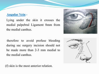 Angular Vein:-
Lying under the skin it crosses the
medial palpebral Ligament 8mm from
the medial canthus.
therefore to avoid profuse bleeding
during sac surgery incision should not
be made more than 2-3 mm medial to
the medial canthus.
(f) skin is the most anterior relation.
 