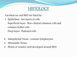 HISTOLOGY
Lacrimal sac and NLD are lined by-
1. Epithelium- two layers of cells
Superficial Layer- Non-ciliated columnar cells and
contains Goblet cells.
Deep Layer- Flattened cells.
2. Subepithelial Tissue- contains lymphocytes.
3. Fibroelastic Tissue.
4. Plexus of vesseles-well developed around NLD.
 