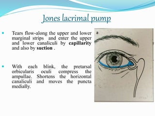 Jones lacrimal pump
 Tears flow-along the upper and lower
marginal strips and enter the upper
and lower canaliculi by capillarity
and also by suction .
 With each blink, the pretarsal
orbicularis oculi compress the
ampullae. Shortens the horizontal
canaliculi and moves the puncta
medially.
 