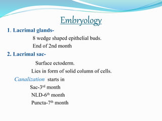 Embryology
1. Lacrimal glands-
8 wedge shaped epithelial buds.
End of 2nd month
2. Lacrimal sac-
Surface ectoderm.
Lies in form of solid column of cells.
Canalization starts in
Sac-3rd month
NLD-6th month
Puncta-7th month
 