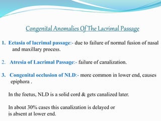 Congenital Anomalies Of The Lacrimal Passage
1. Ectasia of lacrimal passage:- due to failure of normal fusion of nasal
and maxillary process.
2. Atresia of Lacrimal Passage:- failure of canalization.
3. Congenital occlusion of NLD:- more common in lower end, causes
epiphora .
In the foetus, NLD is a solid cord & gets canalized later.
In about 30% cases this canalization is delayed or
is absent at lower end.
 