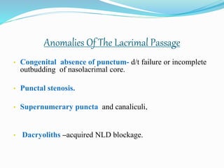 Anomalies Of The Lacrimal Passage
• Congenital absence of punctum- d/t failure or incomplete
outbudding of nasolacrimal core.
• Punctal stenosis.
• Supernumerary puncta and canaliculi.
• Dacryoliths –acquired NLD blockage.
 
