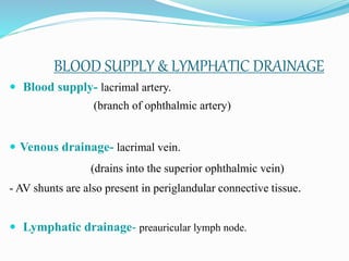 BLOOD SUPPLY & LYMPHATIC DRAINAGE
 Blood supply- lacrimal artery.
(branch of ophthalmic artery)
 Venous drainage- lacrimal vein.
(drains into the superior ophthalmic vein)
- AV shunts are also present in periglandular connective tissue.
 Lymphatic drainage- preauricular lymph node.
 