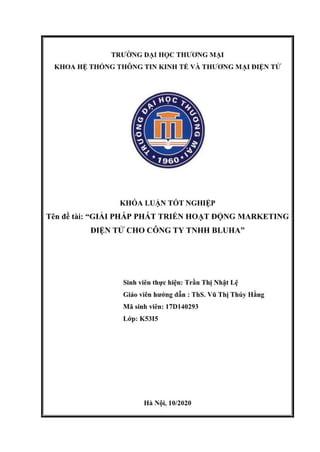 Khóa luận tốt nghiệp Giải pháp phát triển hoạt động marketing điện tử cho Công ty TNHH Bluha.pdf