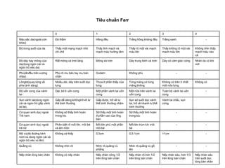 Tiêu chuẩn Farr


                           0                              1                       2                          3                       4
Màu sắc da(ngoài cơn       Đỏ thẫm                        Hồng đều                Trắng hồng không đều       Trắng xanh                     -
khóc)
Độ trong suốt của da       Thấy một mạng mạch nhỏ         Thấy tĩnh mạch và       Thấy rõ một vài mạch       Thấy không rõ một vài   Không nhìn thấy
                           chi chít                       mạch máu hướng tâm      máu lớn                    mạch máu lớn            mạch máu nào
                                                                                                                                     cả
Độ dày hay mỏng của        Rất mỏng và trơn láng          Mỏng và trơn            Dày trung bình và trơn     Dày có cảm giác cứng    Nhăn da có khi
da(dùng ngón cái và                                                                                                                  nứt
ngón trỏ véo da)
Phù(ấnđầu trên xương       Phù rõ mu bàn tay mu bàn       Godet+                  Không phù                             -                   -
chày)                      chân
Lôngtơ(quay lưng về        Nhiều,dài, dày trên suốt dọc   Thưa ở phần thấp của    Từng mảng có từng          Không có trên ít nhất   Không có
phía ánh sáng)             lưng                           lưng                    mảng không                 một nửa lưng
Độ uốn cong của vành       Dẹt, bờ ít uốn cong            Một phần vành tai uốn   Một nửa trên vành tai      Toàn bộ vành tai uốn           -
tai                                                       cong                    uốn cong                   cong
Sụn vành tai(dùng ngón     Gấp dễ dàng,khôngtrở về tư     Gấp được, trở về tư     Sụn sờ suốt dọc vành       Vành tai chắc, sụn
cái và ngón trỏ gấp vành   thề bình thường                thế bình thường chậm    tai, trở về nhanh tư thế   cứng
tai lại)                                                                          bình thường
Cơ quan sinh dục ngoài     Không sờ thấy tinh hoàn        Sờ thấy một tinh hoàn   Sờ thấy một tinh hoàn                 -                   -
Trẻ nam                    trong bìu                      ở phần cao của ống      trong bìu
                                                          bẹn
Cơ quan sinh dục ngoài     Phân biệt rõ môi lớn, môi bé   Môi lớn phủ một phần    Môi lớn trùm kín môi                  -                   -
trẻ nữ                     và âm môn                      môi bé                  bé
Mô vú(đo đường kính        Không sờ thấy                  0,5cm                   0,5-1cm                    >1cm                           -
núm vú dùng ngón cái và
ngón trỏ véo vú lên)
Quầng vú                   Không nhìn rõ                  Nhìn rõ,quầng vú        Nhìn rõ,quầng vú gồ                   -                   -
                                                          phẳng                   lên
Nếp nhăn lòng bàn chân     Không có nếp nhăn              Nếp nhăn nông 1/2       Nếp nhăn rõ,hơn 1/2        Nếp nhăn sâu, hơn 1/3   Nếp nhăn sâu
                                                          trên lòng bàn chân      trên lòng bàn chân         trên lòng bàn chân      trên suốt dọc
                                                                                                                                     lòng bàn chân
 