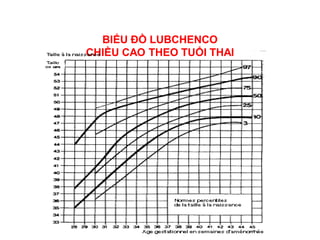 BIỂU ĐỒ LUBCHENCO
CHIỀU CAO THEO TUỔI THAI
 
