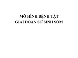 MÔ HÌNH BỆNH TẬT
GIAI ĐOẠN SƠ SINH SỚM
 
