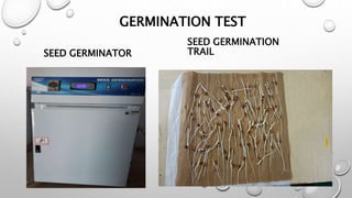 GERMINATION TEST
SEED GERMINATOR
SEED GERMINATION
TRAIL
 