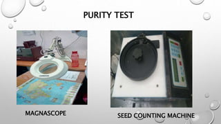 PURITY TEST
MAGNASCOPE SEED COUNTING MACHINE
 