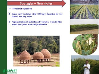 Asia Regional Program Planning meeting " A Strategy on Scaling up of innovative technologies for sustainable agriculture in Karnataka:Reaching the unreached!"