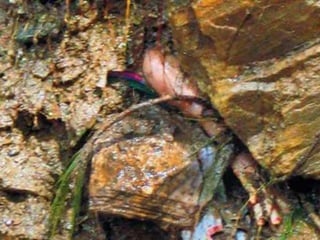 Khandit uttarakhand-part-2