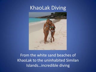 KhaoLak Diving From the white sand beaches of KhaoLak to the uninhabited Similan Islands…incredible diving 