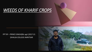 WEEDS OF KHARIF CROPS
PPT BY – PRINCE SINGH(BSc agri.)2017-21
[KHALSA COLLEGE AMRITSAR
 