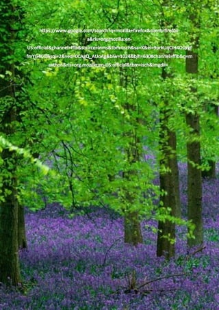 macam-macam web browser