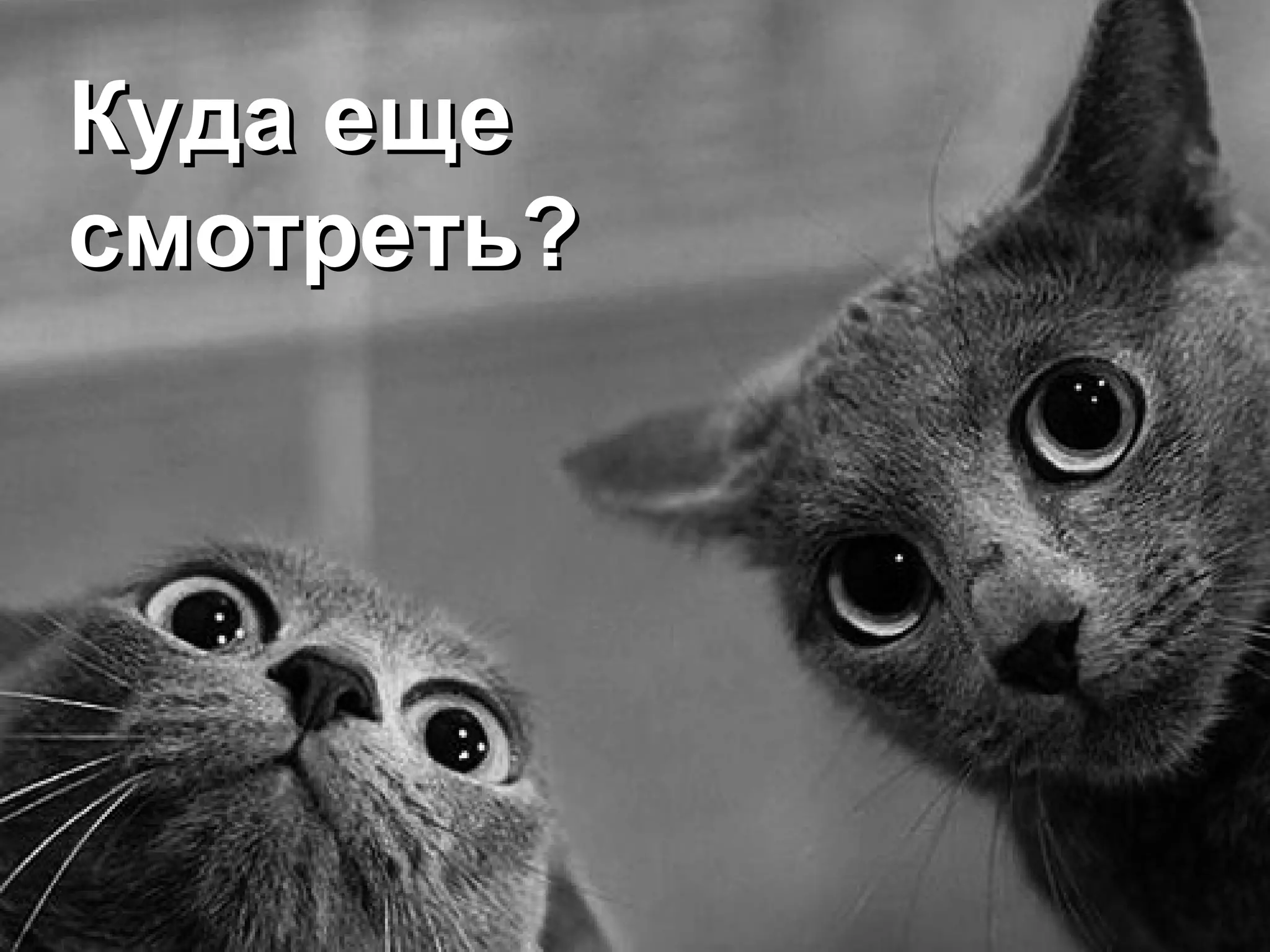 Куда еще
смотреть?
 