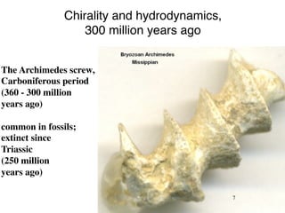 Chirality and hydrodynamics, 
300 million years ago 
! 
7! 
The Archimedes screw, 
Carboniferous period 
(360 - 300 million 
years ago) 
common in fossils; 
extinct since 
Triassic 
(250 million 
years ago) 
 