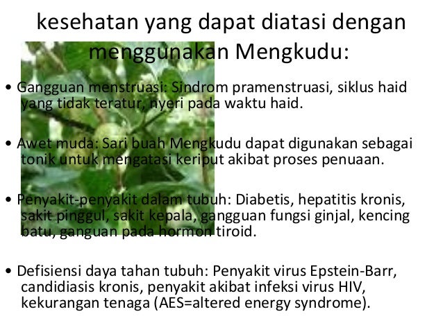 Natural Remedies For Epstein Barr Syndrome Natural Remedies For Epstein Barr Syndrome