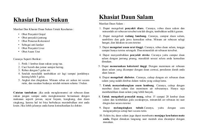 Khasiat Daun Sukun