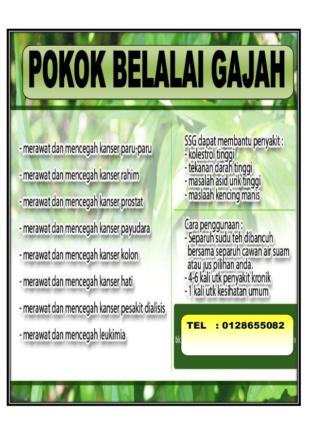 Buku Tata Bahasa Indonesia Pdf