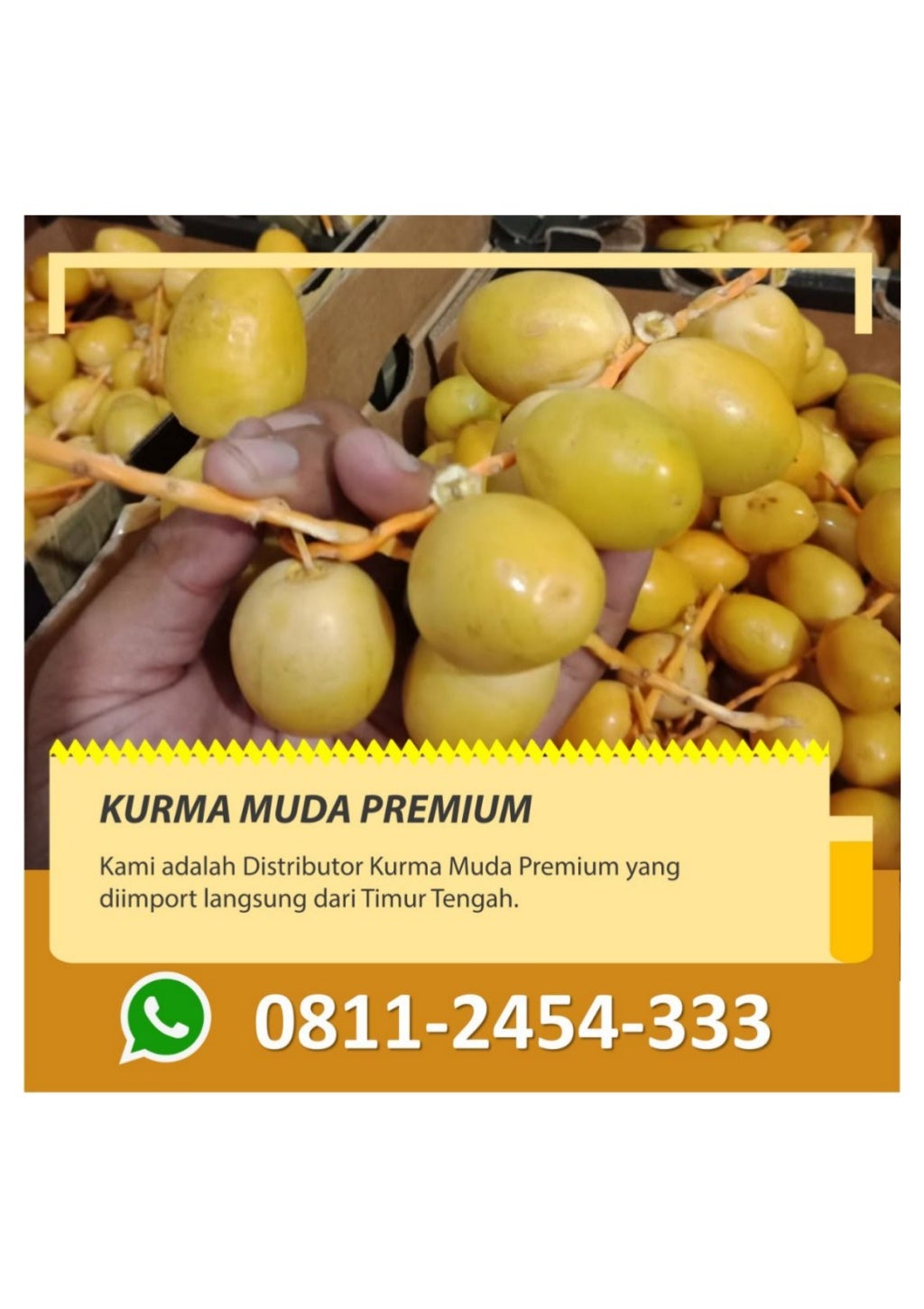 Khasiat kurma muda 08112454333 jual kurma muda kuning bandung