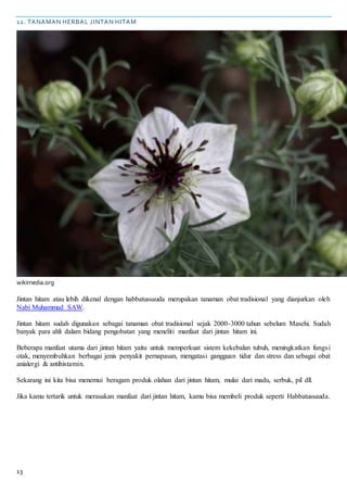 13
12. TANAMAN HERBAL JINTAN HITAM
wikimedia.org
Jintan hitam atau lebih dikenal dengan habbatussauda merupakan tanaman obat tradisional yang dianjurkan oleh
Nabi Muhammad SAW.
Jintan hitam sudah digunakan sebagai tanaman obat tradisional sejak 2000-3000 tahun sebelum Masehi. Sudah
banyak para ahli dalam bidang pengobatan yang meneliti manfaat dari jintan hitam ini.
Beberapa manfaat utama dari jintan hitam yaitu untuk memperkuat sistem kekebalan tubuh, meningkatkan fungsi
otak, menyembuhkan berbagai jenis penyakit pernapasan, mengatasi gangguan tidur dan stress dan sebagai obat
anialergi & antihistamin.
Sekarang ini kita bisa menemui beragam produk olahan dari jintan hitam, mulai dari madu, serbuk, pil dll.
Jika kamu tertarik untuk merasakan manfaat dari jintan hitam, kamu bisa membeli produk seperti Habbatussauda.
 
