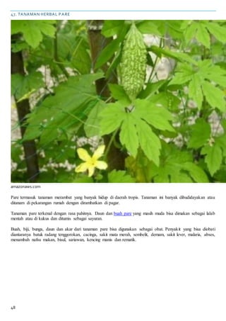 48
47. TANAMAN HERBAL PARE
amazonaws.com
Pare termasuk tanaman merambat yang banyak hidup di daerah tropis. Tanaman ini banyak dibudidayakan atau
ditanam di pekarangan rumah dengan dirambatkan di pagar.
Tanaman pare terkenal dengan rasa pahitnya. Daun dan buah pare yang masih muda bisa dimakan sebagai lalab
mentah atau di kukus dan ditumis sebagai sayuran.
Buah, biji, bunga, daun dan akar dari tanaman pare bisa digunakan sebagai obat. Penyakit yang bisa diobati
diantaranya batuk radang tenggorokan, cacinga, sakit mata merah, sembelit, demam, sakit lever, malaria, abses,
menambah nafsu makan, bisul, sariawan, kencing manis dan rematik.
 