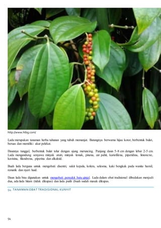 54
http://www.htbg.com/
Lada merupakan tanaman herba tahunan yang tubuh memanjat. Batangnya berwarna hijau kotor, berbentuk bulat,
beruas dan memiliki akar pelekat.
Daunnya tunggal, berbentuk bulat telur dengan ujung meruncing. Panjang daun 5-8 cm dengan lebar 2-5 cm.
Lada mengandung senyawa minyak atsiri, minyak lemak, pinena, zat pahit, kariofilena, piperidina, limonene,
kavisina, filandrena, piperina dan alkaloid.
Buah lada berguna untuk mengobati disentri, sakit kepala, kolera, selesma, kaki bengkak pada wanita hamil,
rematik dan nyeri haid.
Daun lada bisa digunakan untuk mengobati penyakit batu ginjal. Lada dalam obat tradisional dibedakan menjadi
dua, ada lada hitam (tidak dikupas) dan lada putih (buah sudah masak dikupas.
54. TANAMAN OBAT TRADISIONAL KUNYIT
 
