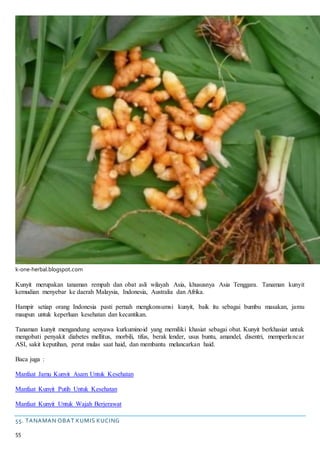 55
k-one-herbal.blogspot.com
Kunyit merupakan tanaman rempah dan obat asli wilayah Asia, khususnya Asia Tenggara. Tanaman kunyit
kemudian menyebar ke daerah Malaysia, Indonesia, Australia dan Afrika.
Hampir setiap orang Indonesia pasti pernah mengkonsumsi kunyit, baik itu sebagai bumbu masakan, jamu
maupun untuk keperluan kesehatan dan kecantikan.
Tanaman kunyit mengandung senyawa kurkuminoid yang memiliki khasiat sebagai obat. Kunyit berkhasiat untuk
mengobati penyakit diabetes mellitus, morbili, tifus, berak lender, usus buntu, amandel, disentri, memperlancar
ASI, sakit keputihan, perut mulas saat haid, dan membantu melancarkan haid.
Baca juga :
Manfaat Jamu Kunyit Asam Untuk Kesehatan
Manfaat Kunyit Putih Untuk Kesehatan
Manfaat Kunyit Untuk Wajah Berjerawat
55. TANAMAN OBAT KUMIS KUCING
 