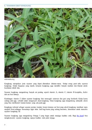 7
6. TANAMAN OBAT KANGKUNG
wikimedia.org
Kangkung merupakan jenis sayuran yang dapat ditemukan dimana-mana. Setiap orang pasti tahu sayuran
kangkung. Selain harganya yang murah, ternyata kangkung juga memiliki banyak manfaat dan khasiat untuk
kesehatan tubuh kita.
Sayuran kangkung mengandung banyak zat penting seperti vitamin A, vitamin C, vitamin B kompleks, fosfor
dan zat besi lainnya.
Kandungan vitamin C dalam sayuran kangkung bisa mencegah sariawan dan gusi yang berdarah. Kalau kamu
sedang sakit gigi, cobalah untuk mengunyah daun kangkung. Daun kangkung juga mengandung antiseptik alami
yang bisa membunuh kuman-kuman yang ada pada gigi.
Kangkung terkenal sebagai sayuran pemicu kantuk, konon katanya zat besi yang ada di kangkung membuat mata
menjadi berat sehingga bawaannya ingin tidur. Jadi bagi kamu yang sedang insomnia, disarankan untuk mencoba
sayuran kangkung ini.
Sayuran kangkung juga mengandung Omega 3 yang bagus untuk menjaga kualitas otak. Bagi ibu hamil bisa
mengkonsumsi sayuran kangkung supaya kualitas otak janin terjaga.
 