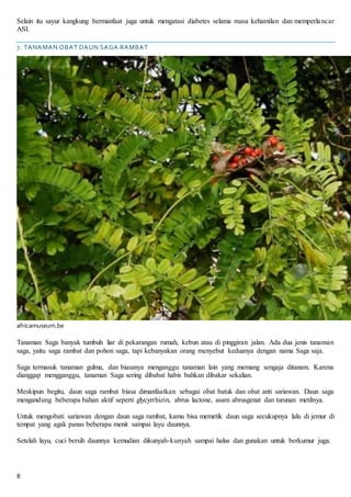 8
Selain itu sayur kangkung bermanfaat juga untuk mengatasi diabetes selama masa kehamilan dan memperlancar
ASI.
7. TANAMAN OBAT DAUN SAGA RAMBAT
africamuseum.be
Tanaman Saga banyak tumbuh liar di pekarangan rumah, kebun atau di pinggiran jalan. Ada dua jenis tanaman
saga, yaitu saga rambat dan pohon saga, tapi kebanyakan orang menyebut keduanya dengan nama Saga saja.
Saga termasuk tanaman gulma, dan biasanya menganggu tanaman lain yang memang sengaja ditanam. Karena
dianggap mengganggu, tanaman Saga sering dibabat habis bahkan dibakar sekalian.
Meskipun begitu, daun saga rambat biasa dimanfaatkan sebagai obat batuk dan obat anti sariawan. Daun saga
mengandung beberapa bahan aktif seperti glycyrrhizin, abrus lactone, asam abrusgenat dan turunan metilnya.
Untuk mengobati sariawan dengan daun saga rambat, kamu bisa memetik daun saga secukupnya lalu di jemur di
tempat yang agak panas beberapa menit sampai layu daunnya.
Setelah layu, cuci bersih daunnya kemudian dikunyah-kunyah sampai halus dan gunakan untuk berkumur juga.
 