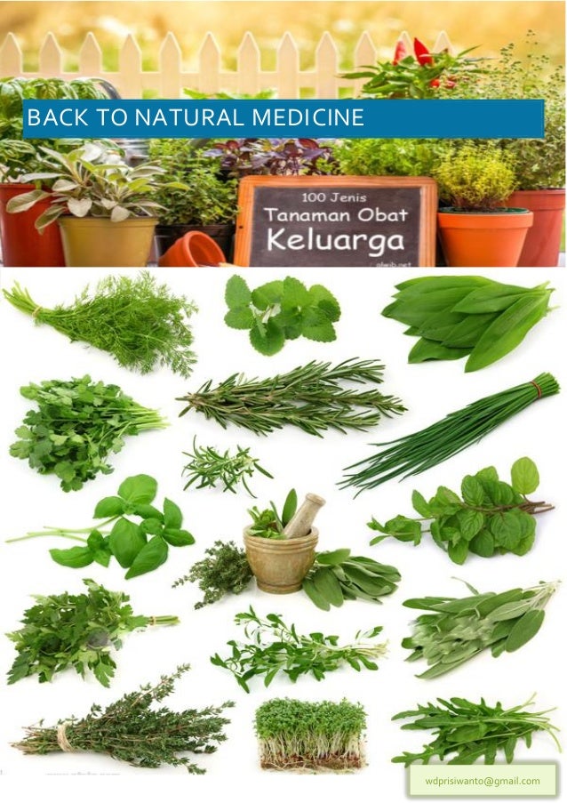 Khasiat tanaman herbal 