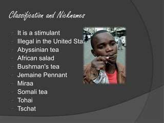 Khat by jacob b g and matthew leal | PPTX