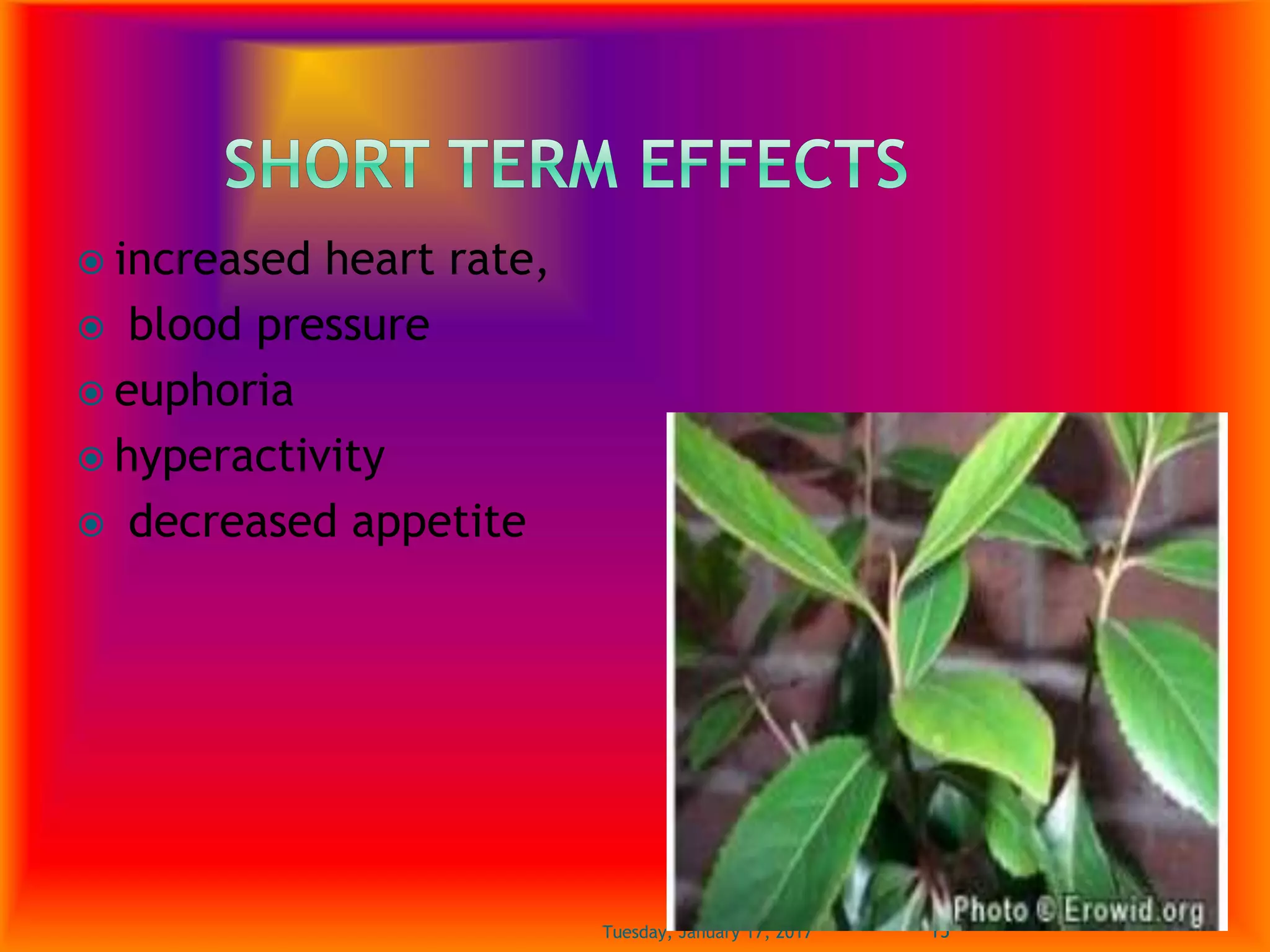  increased heart rate,
 blood pressure
 euphoria
 hyperactivity
 decreased appetite
Tuesday, January 17, 2017 15
 