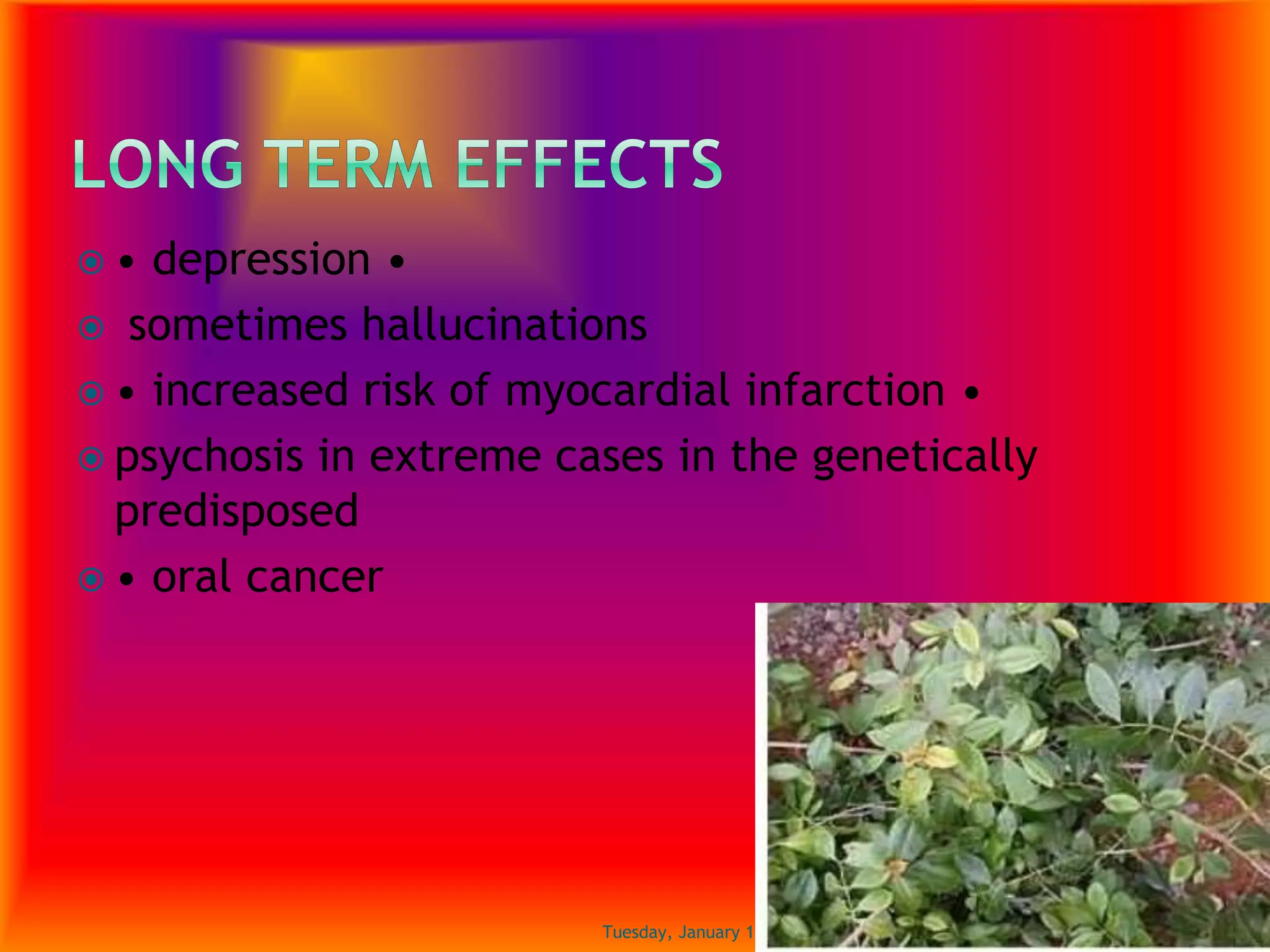  • depression •
 sometimes hallucinations
 • increased risk of myocardial infarction •
 psychosis in extreme cases in the genetically
predisposed
 • oral cancer
Tuesday, January 17, 2017 16
 