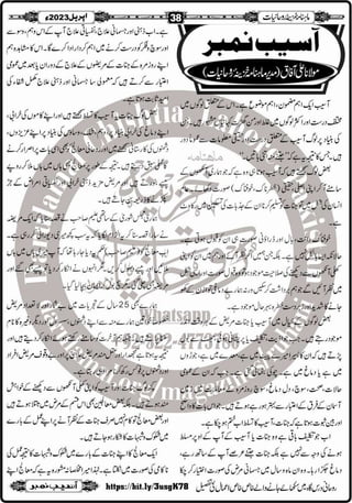 Monthly Khazina-e-Ruhaniyaat Apr'23 (Vol.13, Issue 12)
