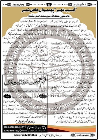 Monthly Khazina-e-Ruhaniyaat Apr'23 (Vol.13, Issue 12)