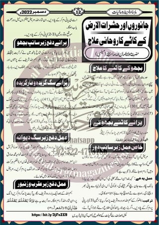 Monthly Khazina-e-Ruhaniyaat December'22 (Vol.13, Issue 8)