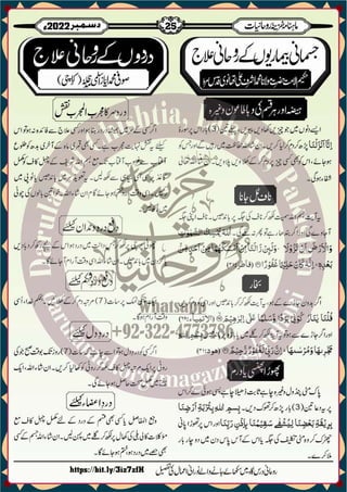 Monthly Khazina-e-Ruhaniyaat December'22 (Vol.13, Issue 8)